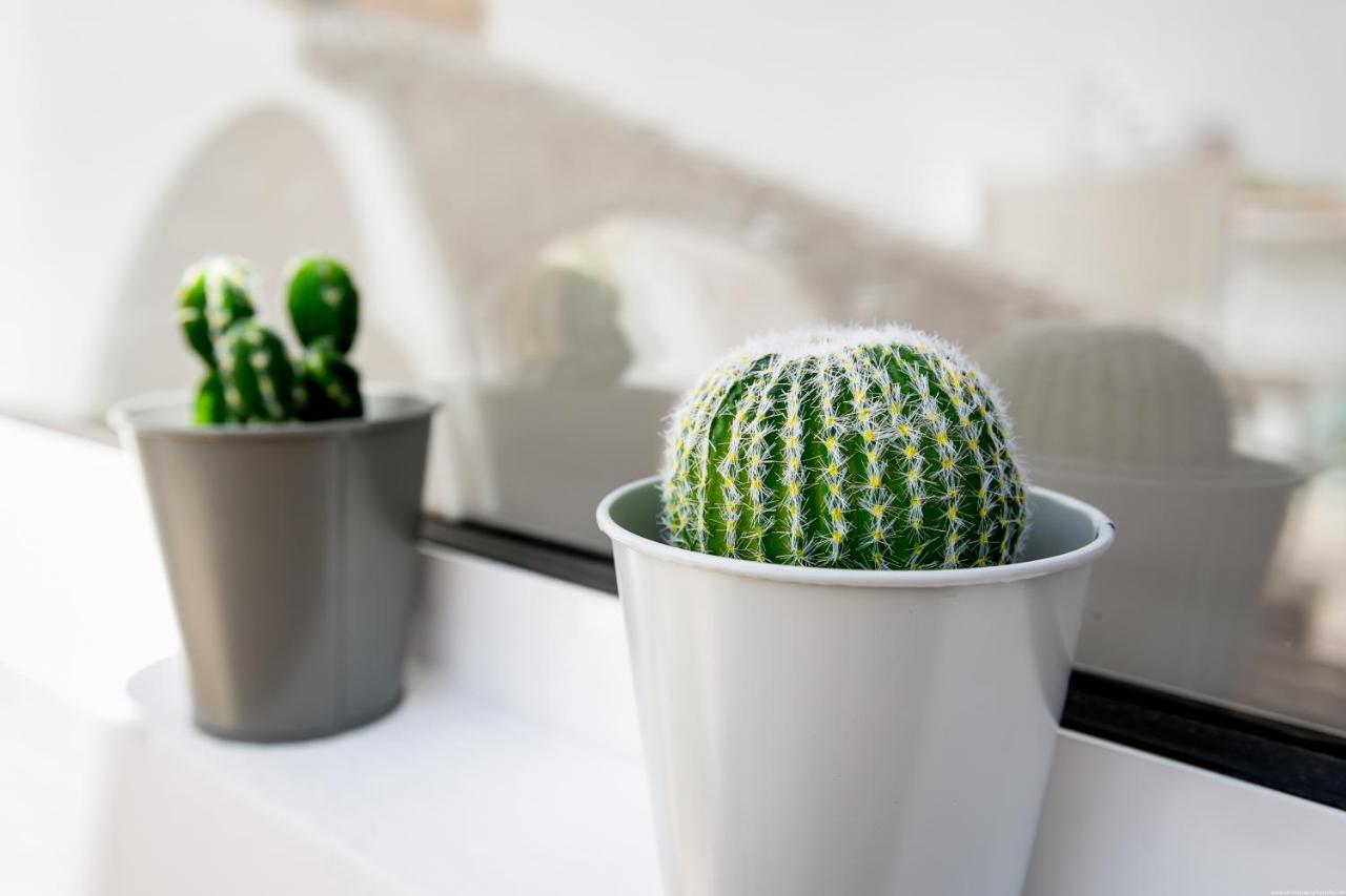 Cactus Apartment San Miguel de Abona Buitenkant foto