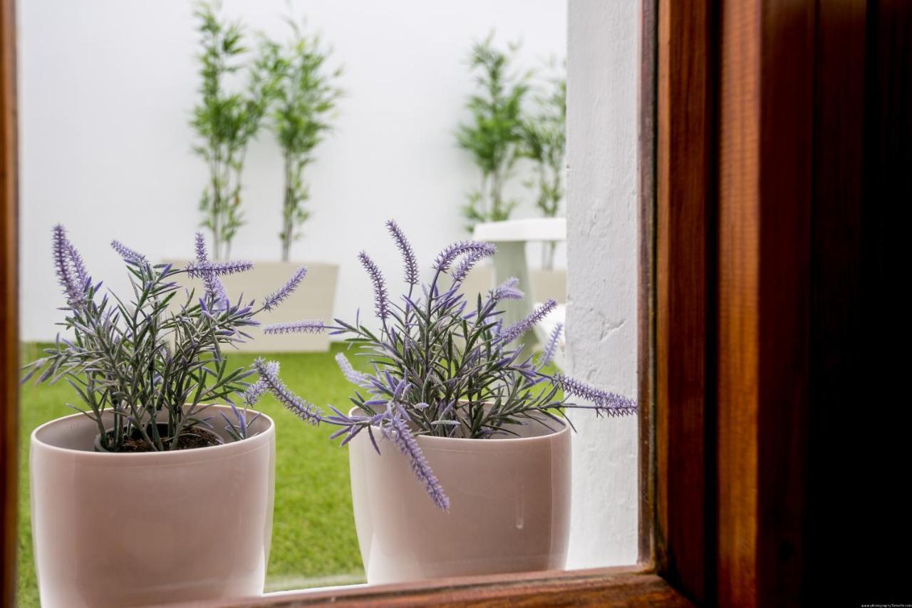 Cactus Apartment San Miguel de Abona Buitenkant foto