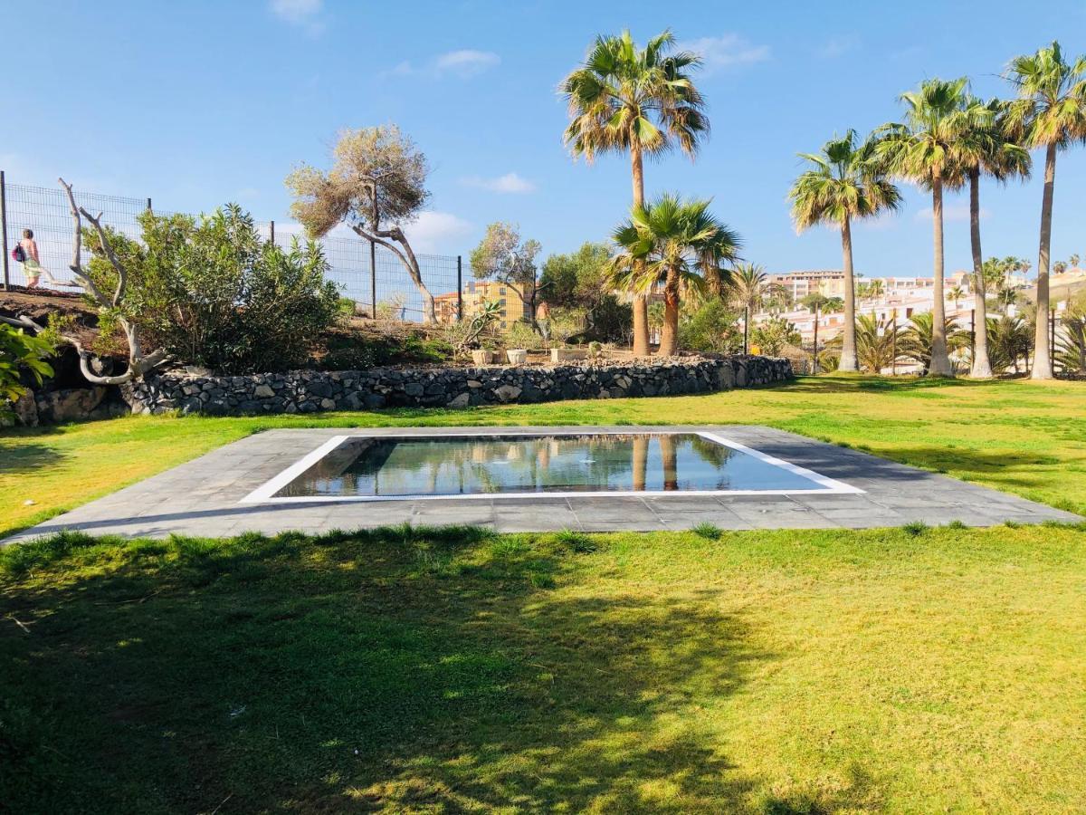 Cactus Apartment San Miguel de Abona Buitenkant foto